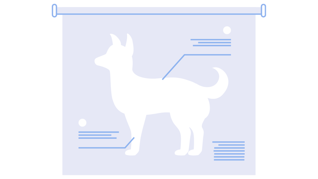 Types Of Interactive Content For B2B And B2C Marketing